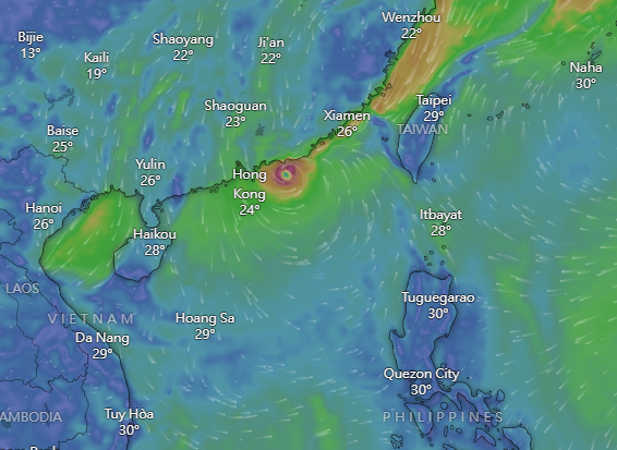 颱風小犬|Windy周日預計路徑。(Windy截圖)