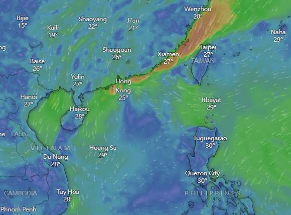 颱風小犬|Windy周一預計路徑。(Windy截圖)