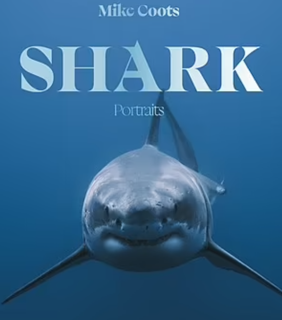 Mike Coots拍攝的鯊魚相集。(互聯網)