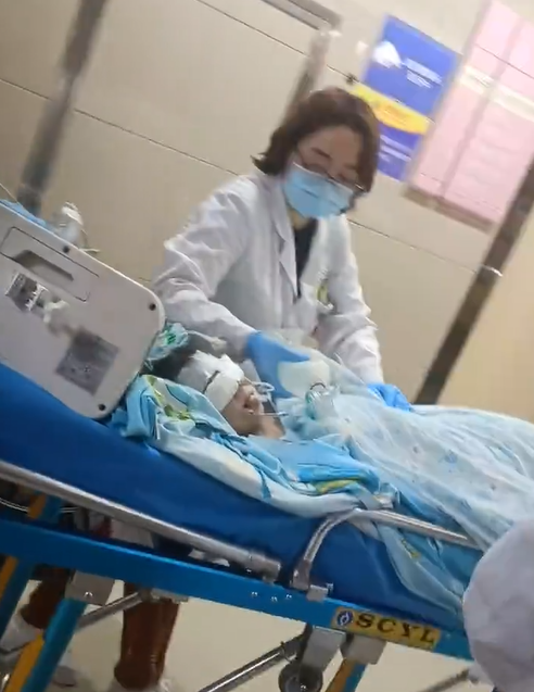 四川2歲女童被洛威拿撲倒撕咬 留醫ICU仍昏迷(影片截圖)