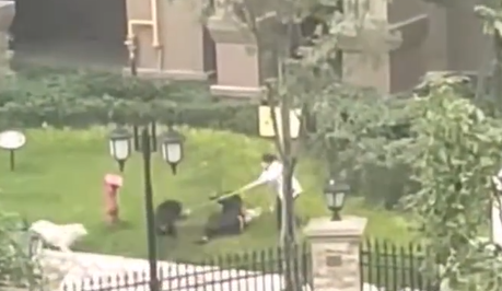 母親嘗試阻止但不成功,直到一名清潔員拿長棒才把犬隻趕走。