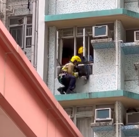 筲箕灣百厭柴犬危站4樓簷篷獲救(筲箕灣西灣河關注組fb)