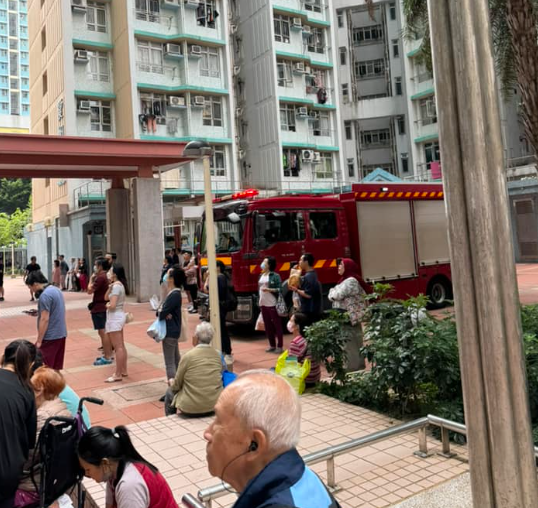 筲箕灣百厭柴犬危站4樓簷篷獲救(筲箕灣西灣河關注組fb)