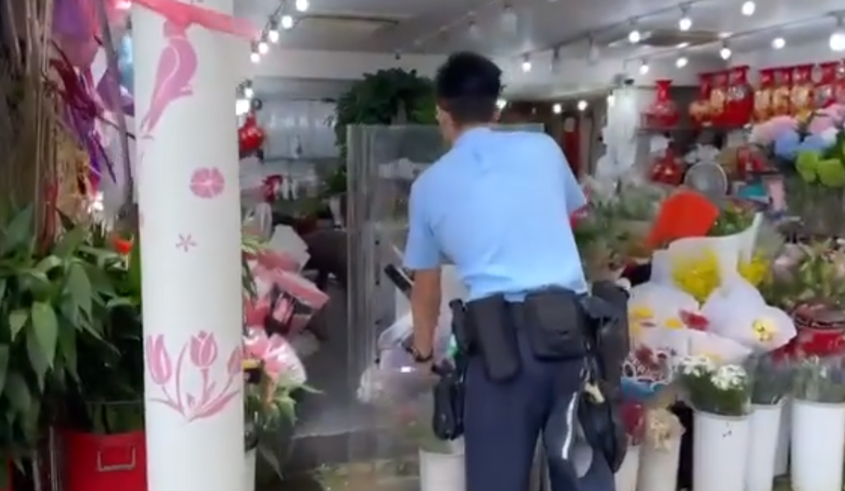 野豬最初在另一間花店。(影片截圖)