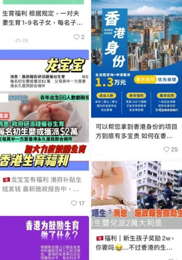 惟消息一出後,大批內地網民卻聞風而至,小紅書上更已湧現大量「2萬元生仔攻略」。(圖片來源:小紅書)