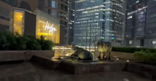 因為要慳錢,小馬所安排的行程基本上都屬於零消費,例如前往中環港交所「打卡」。(圖片來源:YouTube@小馬生存日記)