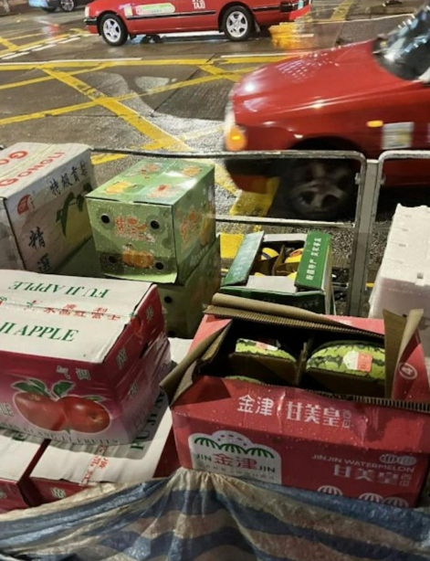 。眼見蔬果未有被偷走或惡意破壞,發文者即時對港人讚不絕口,揚言「我覺得香港市民素質確實是高」,對港人有好高評價。(圖片來源:小紅書)