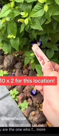 男子說把兩張10元鈔票藏在草叢。(互聯網)