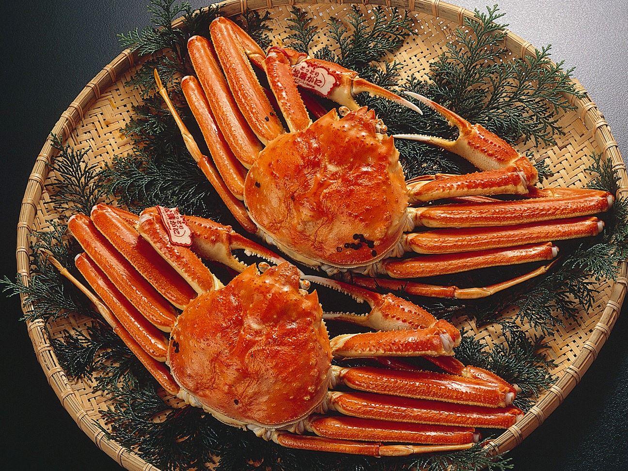 鳥取必食推介#01. 松葉蟹,境港是鳥取縣松葉蟹產量最多的漁港,大家可以來於2022年裝修後重開的境港水產直賣中心,大𩟔價格極平的當造松葉蟹!(境港水產品批發中心,地址:鳥取縣境港市昭和町9-5)