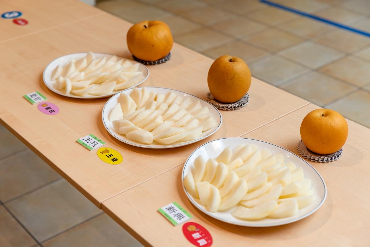 鳥取必食推介#03. 二十世紀梨,鳥取的倉吉市設有日本唯一以梨子為主題的博物館,館內可吃到鳥取產的3款梨比拼及雪糕。 (地址:鳥取縣倉吉市駄経寺町198-4)