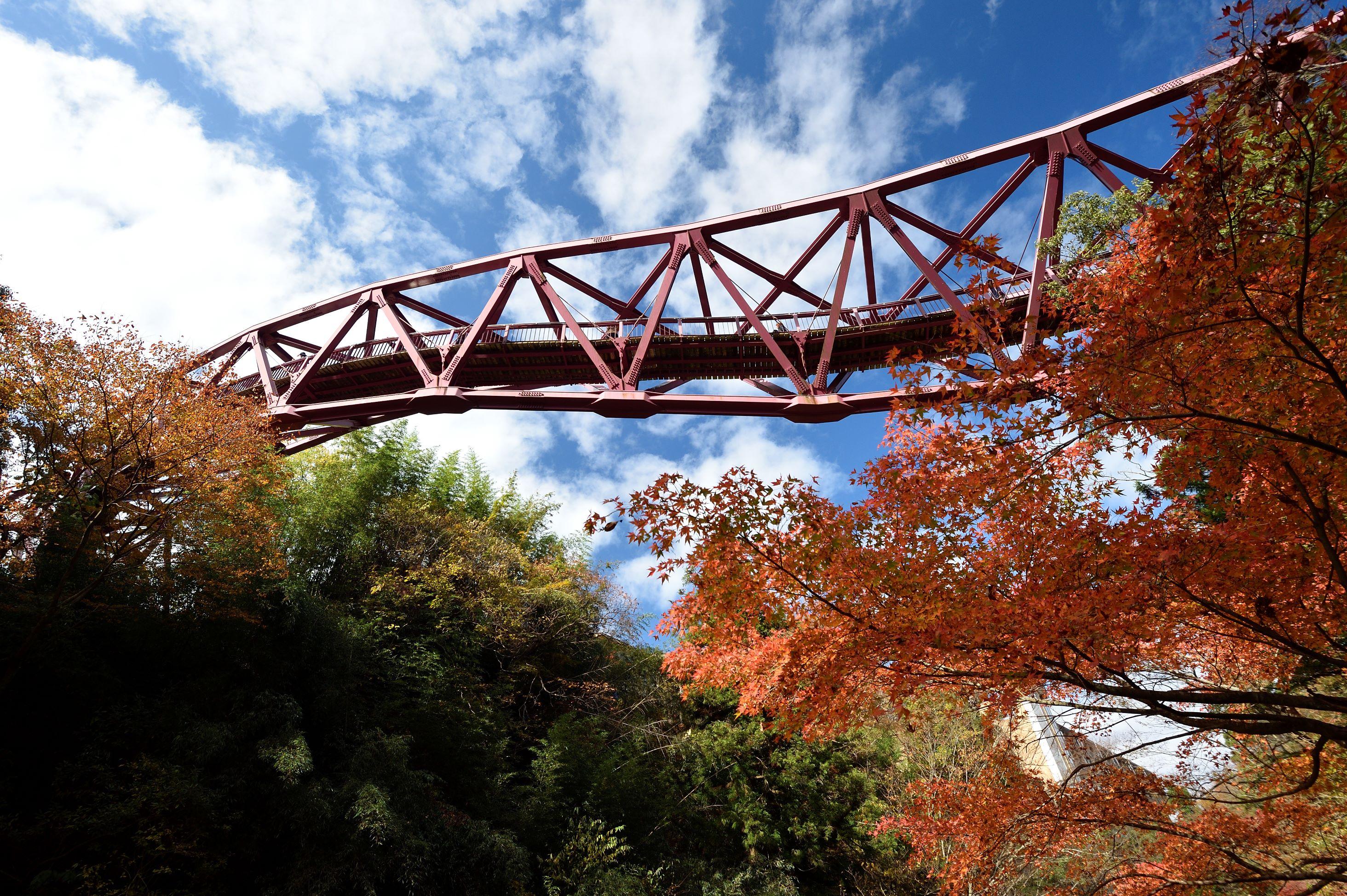 照片來源 : Ishikawa Prefecture