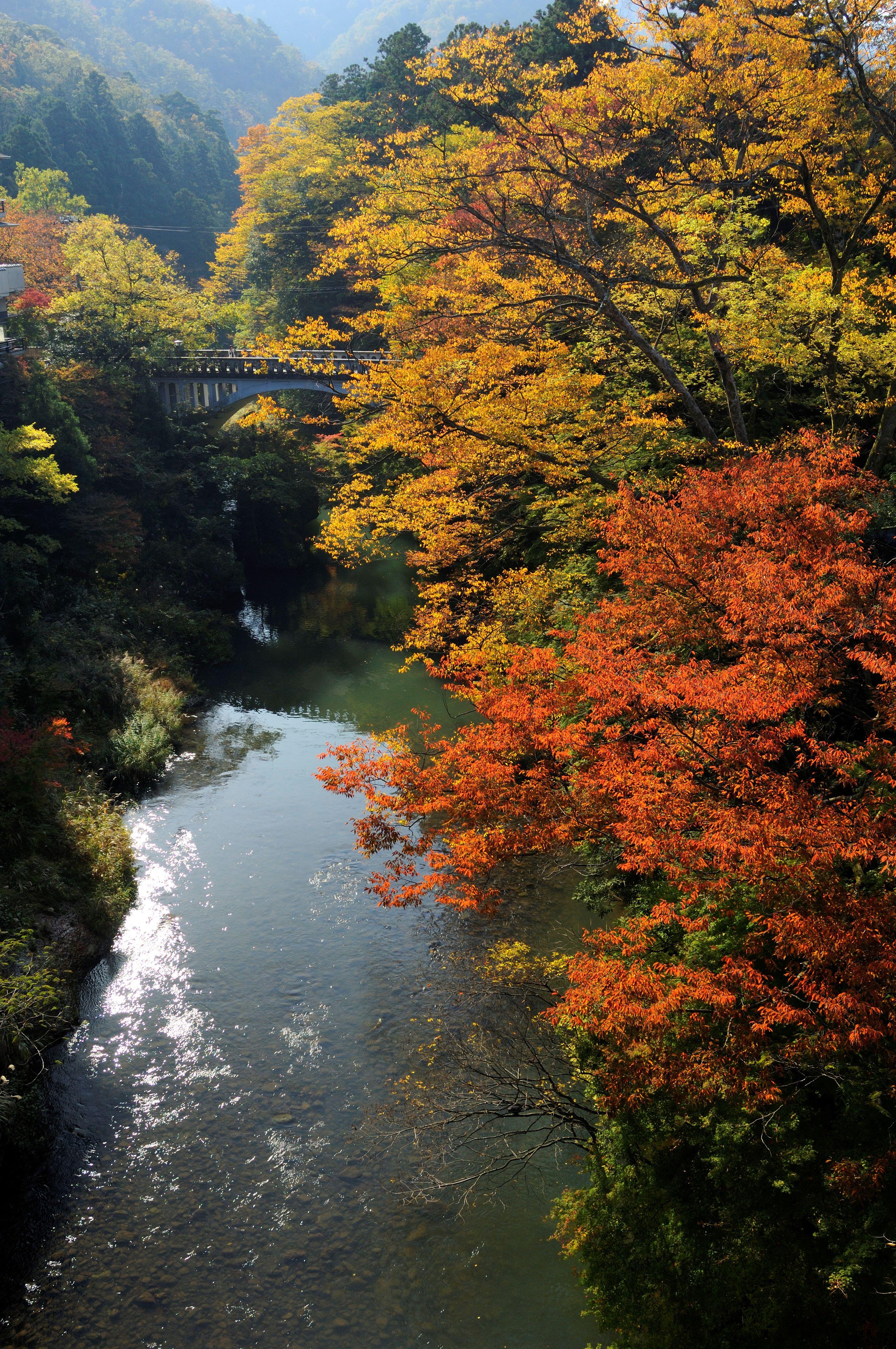 照片來源 : Ishikawa Prefecture