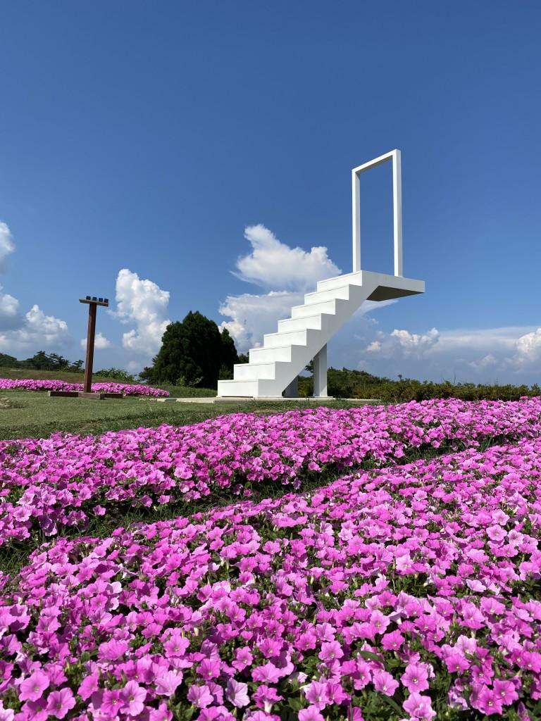 今年於花田旁新增的「Stairs Flower」白色階梯打卡位。(圖片來源:PR TIMES/びわ湖のみえる丘)