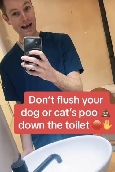 貓狗排泄物掉馬桶,英獸醫揭恐怖後果。(TikTok)