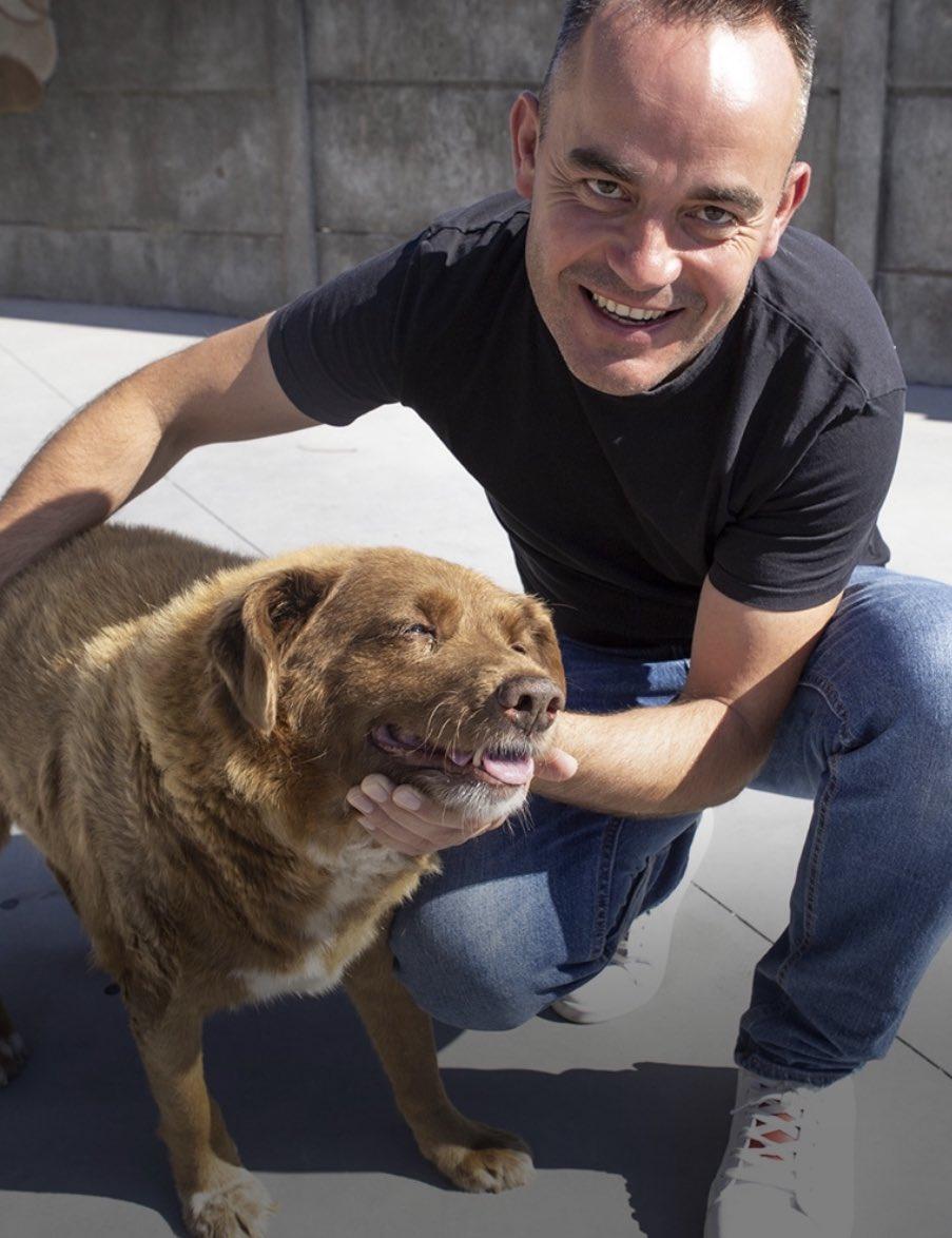 Bobi今年2月獲健力士世界紀錄確認為全球最長壽狗狗。(X)