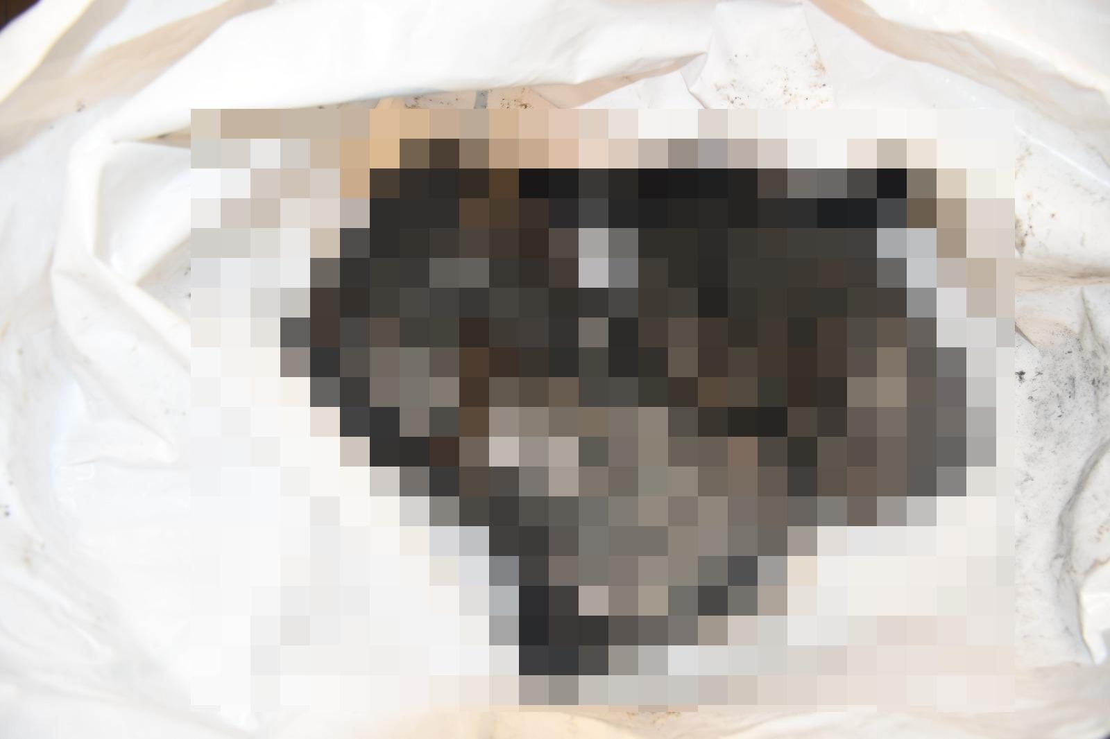 相片包括3名嬰兒遭該組織槍殺及活生生燒死的遺體。(X)