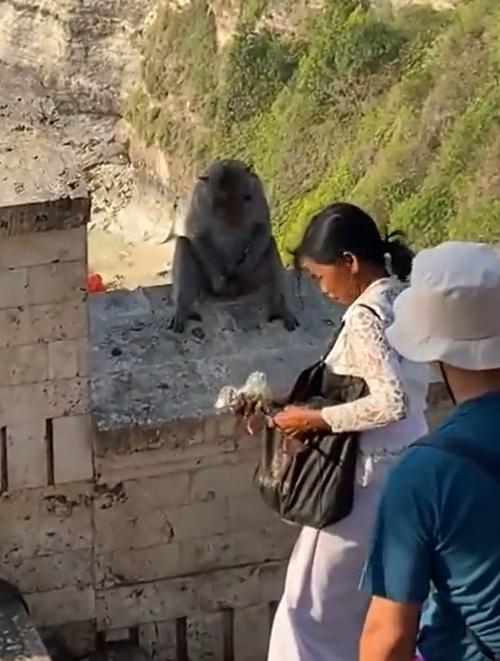 女子慌張地的布袋裡掏出了一袋看起來像葡萄的食物遞給馬騮,馬騮眼尾一看卻不為動。(X)