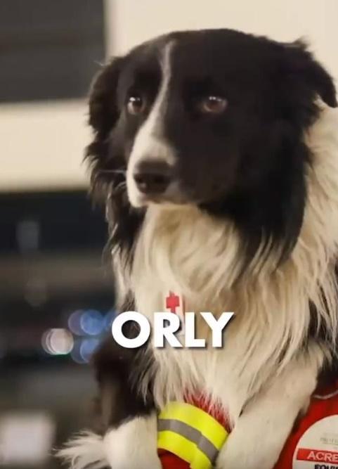 Orly。(資料圖片)