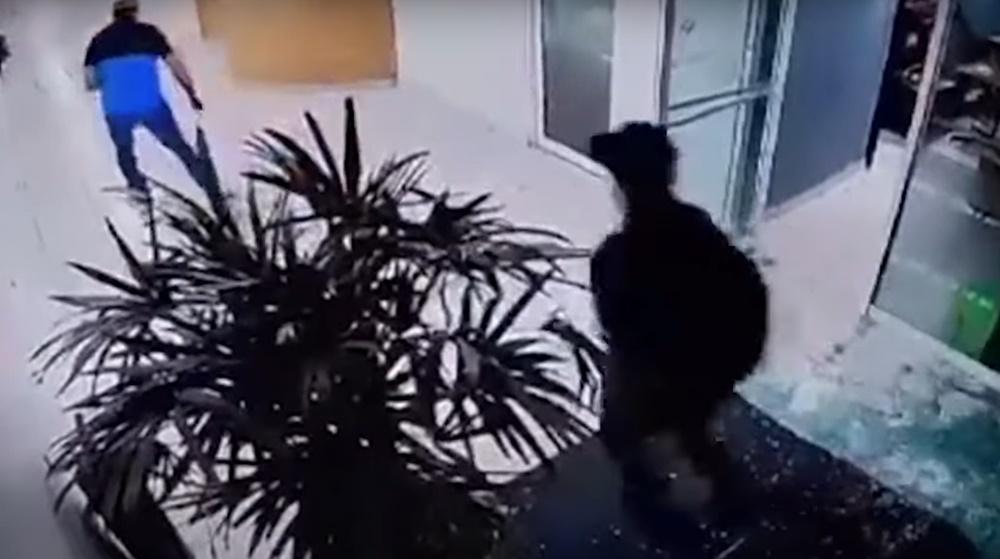 多人手持槍械,小心翼翼地展開追逐。(YouTube)