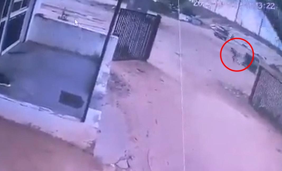 車夫似乎發現不對勁,急忙棄車逃跑。(X)