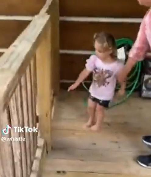 女孩問媽媽「我可以摸摸那隻狗嗎?」,把媽媽嚇一跳趕緊抓住她的手臂將她拉回來。(X)