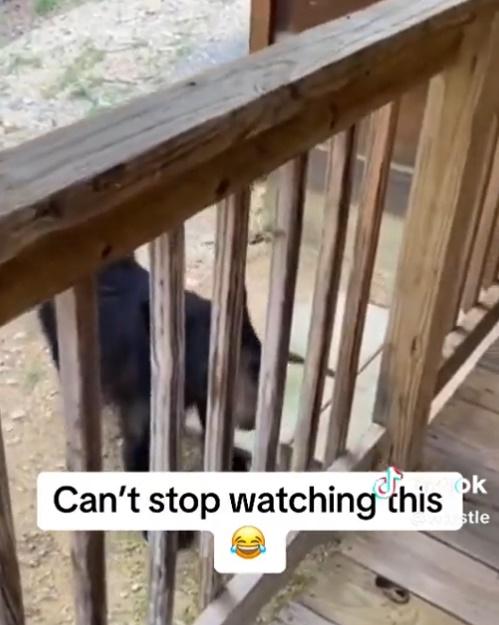 媽媽一度想解釋卻被愈來愈激動「扭計」的女兒打斷。(X)