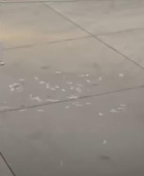 丈夫疑似被激怒企圖衝上前,但被警方制止,他無奈的撿起散落地上的鈔票。(YouTube)