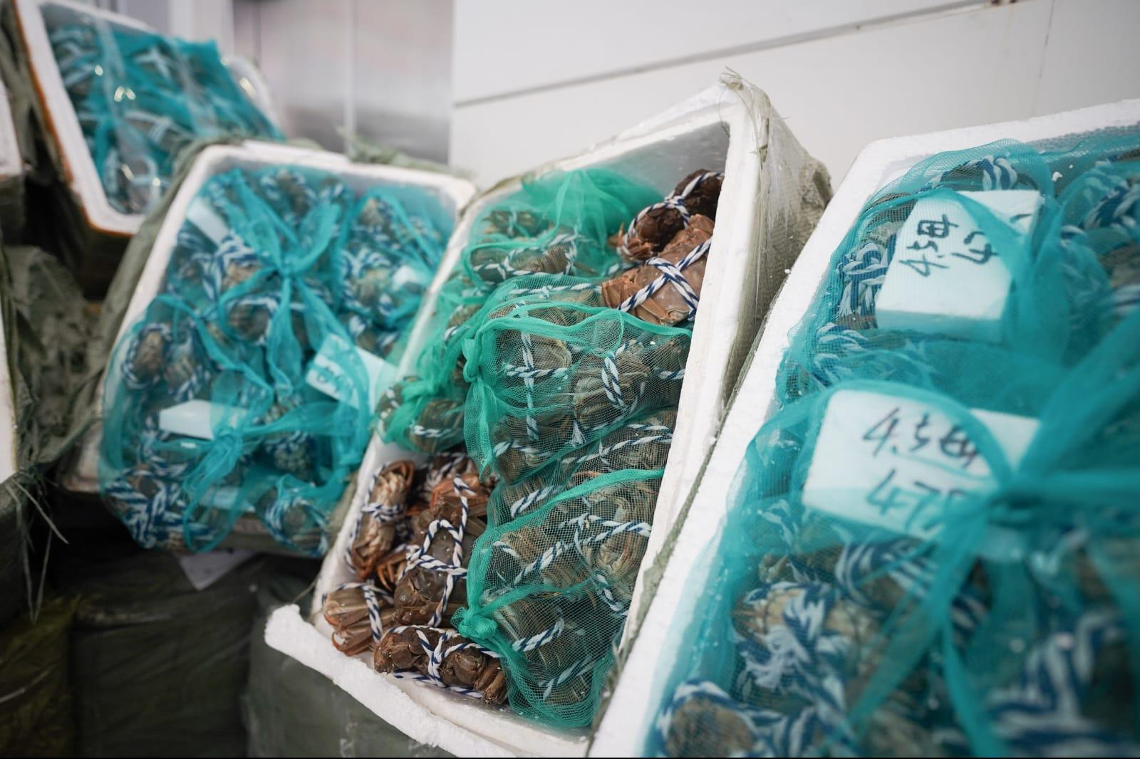 海關在行動中檢獲4.8萬隻走私大閘蟹。(李睿哲攝)