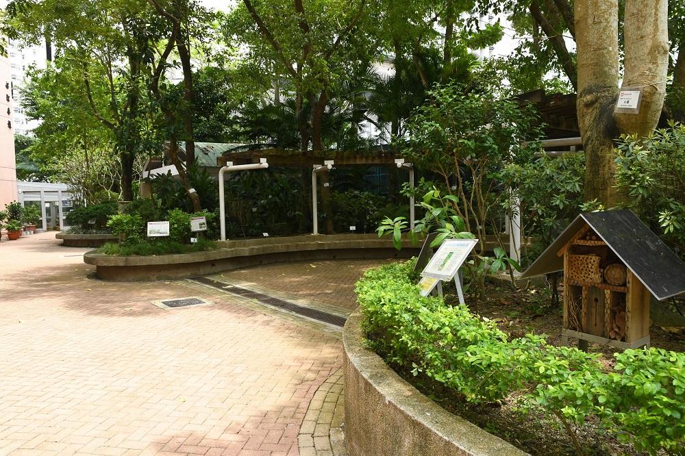 校內種植了各種植物,學生可用以作實驗。