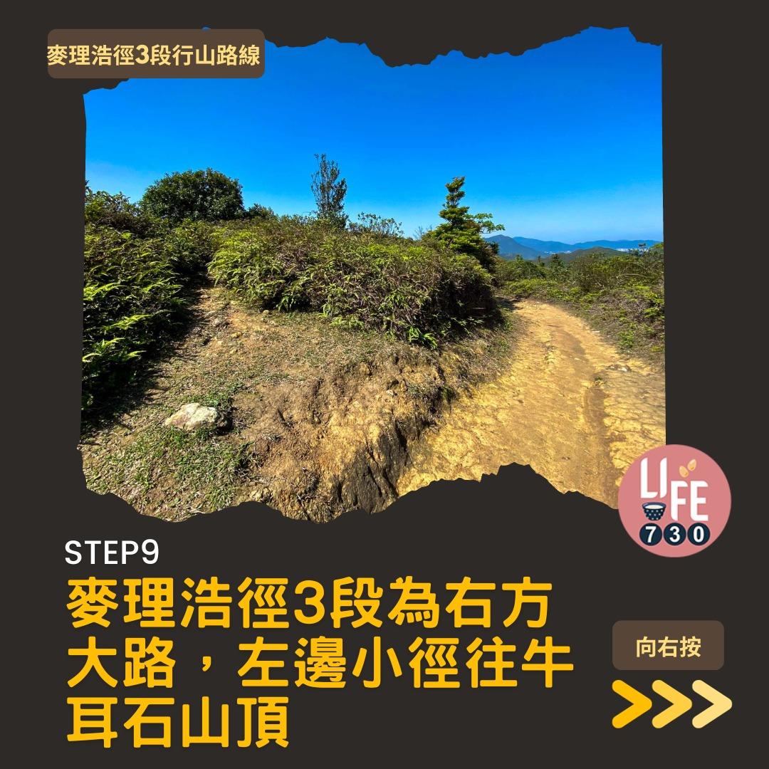 麥理浩徑3段行山路線(am730製圖)