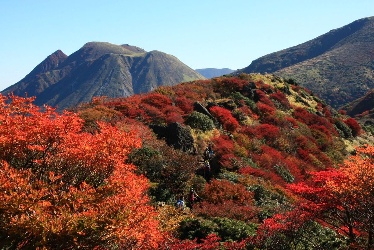 大分紅葉景點 #05. 九重連山|紅葉期: 10月下旬|地址:大分縣玖珠郡九重町田野 (圖片來源:Tourism Oita)