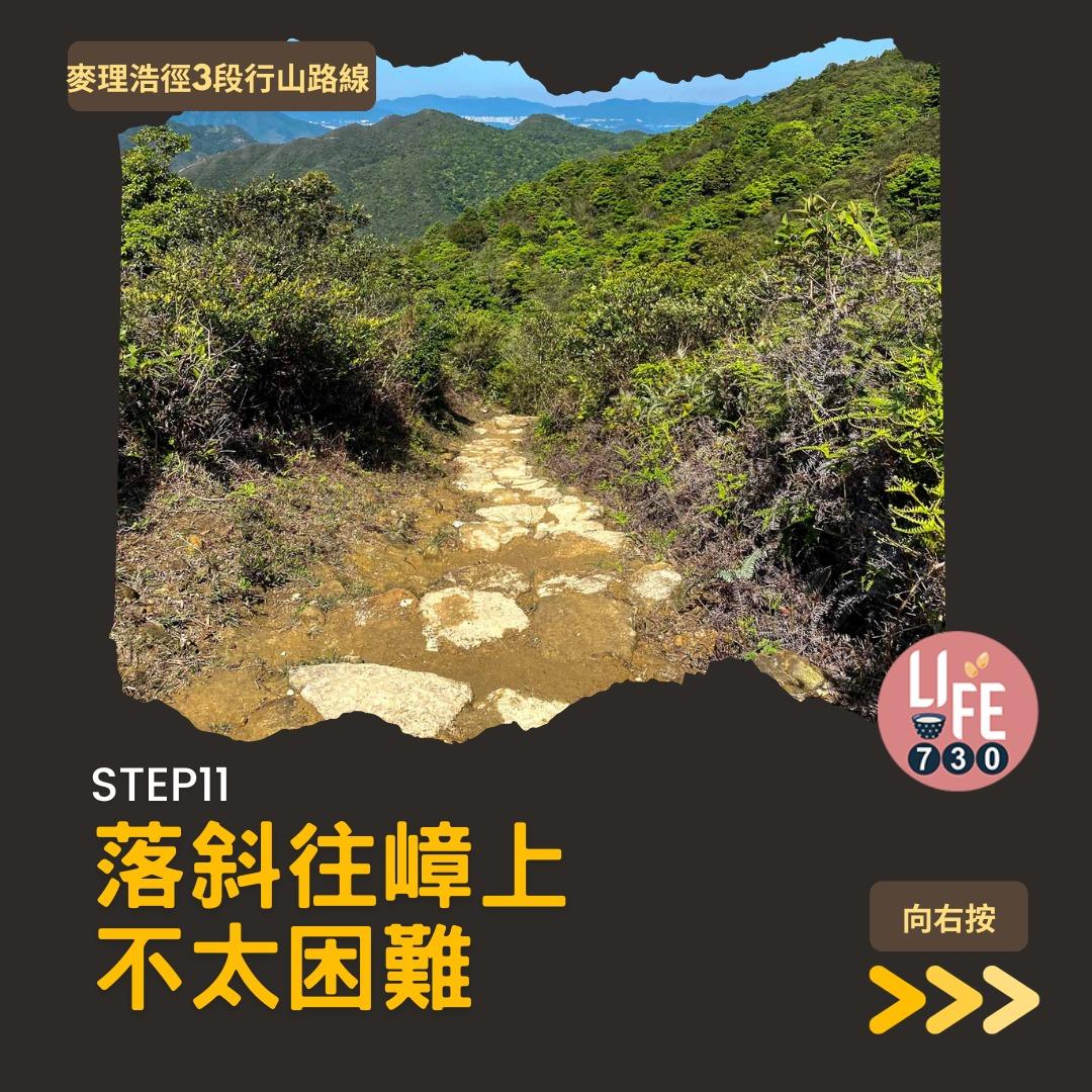 麥理浩徑3段行山路線(am730製圖)