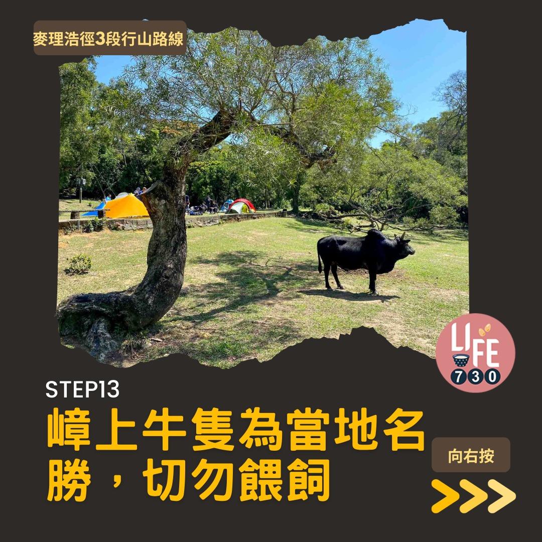 麥理浩徑3段行山路線(am730製圖)