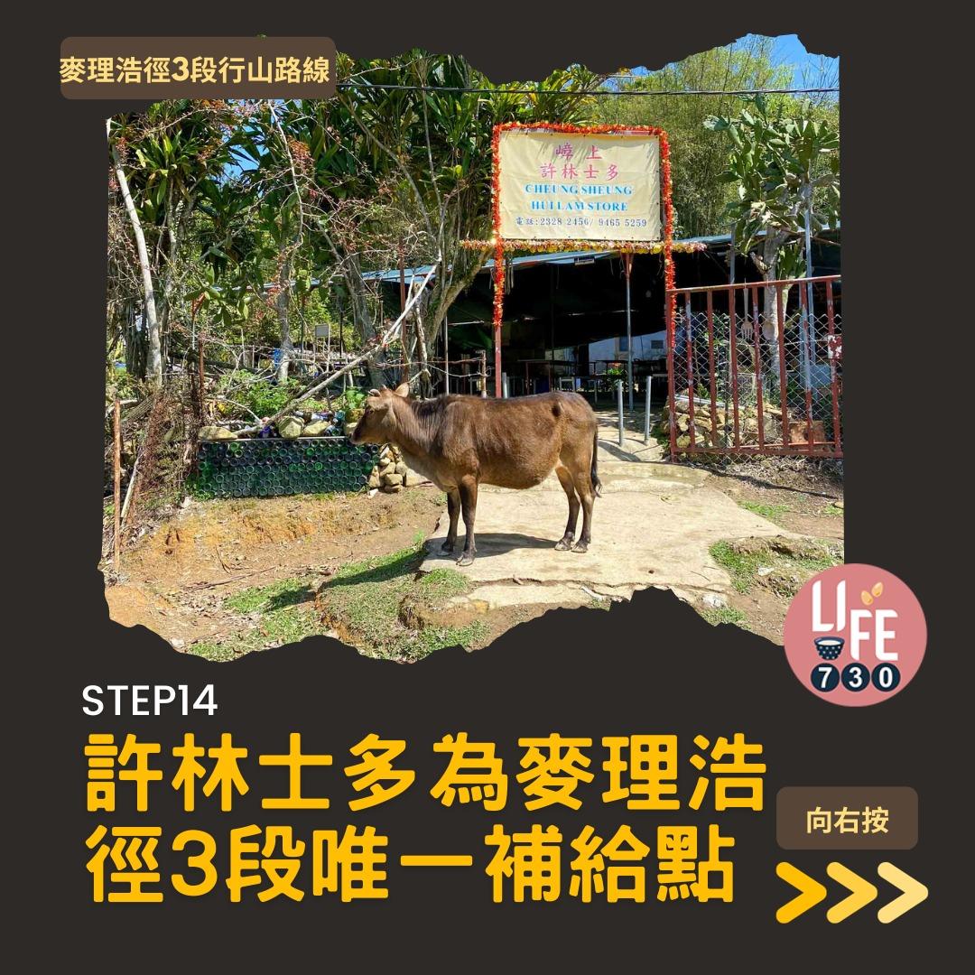 麥理浩徑3段行山路線(am730製圖)