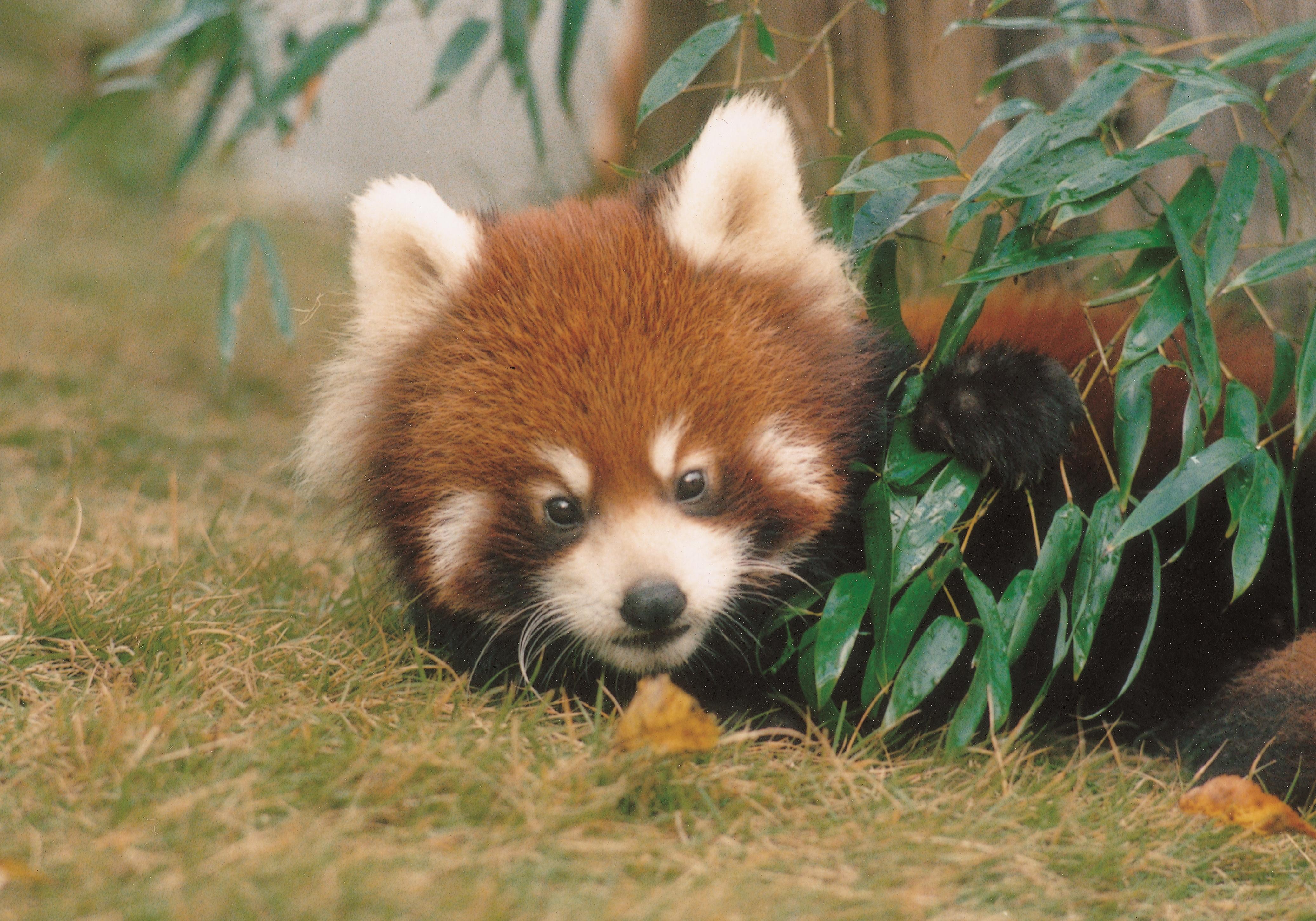 照片來源 : 福井縣觀光聯盟