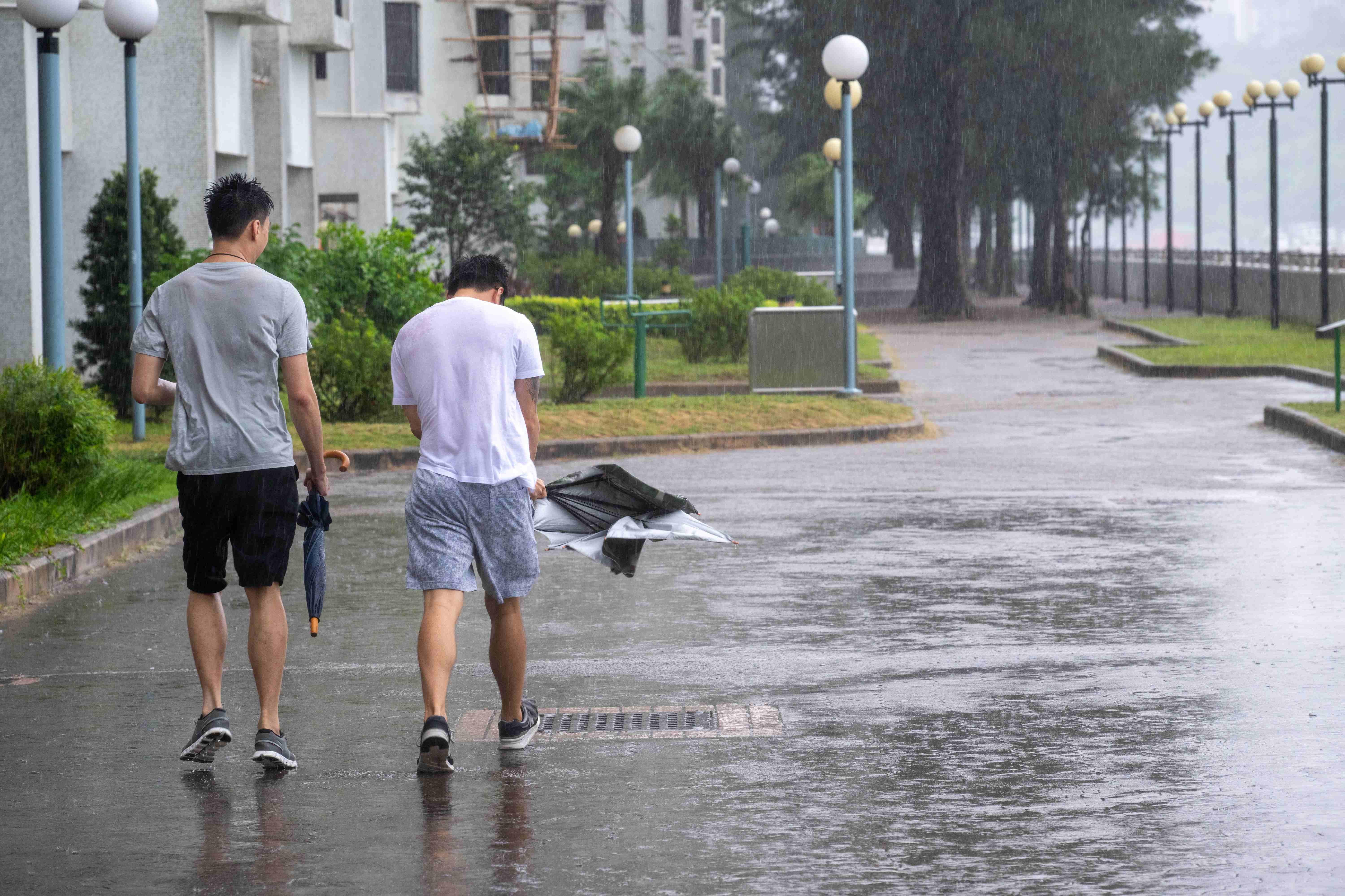 杏花邨 颱風小犬襲港八號風球杏花邨情況 颱風 小犬