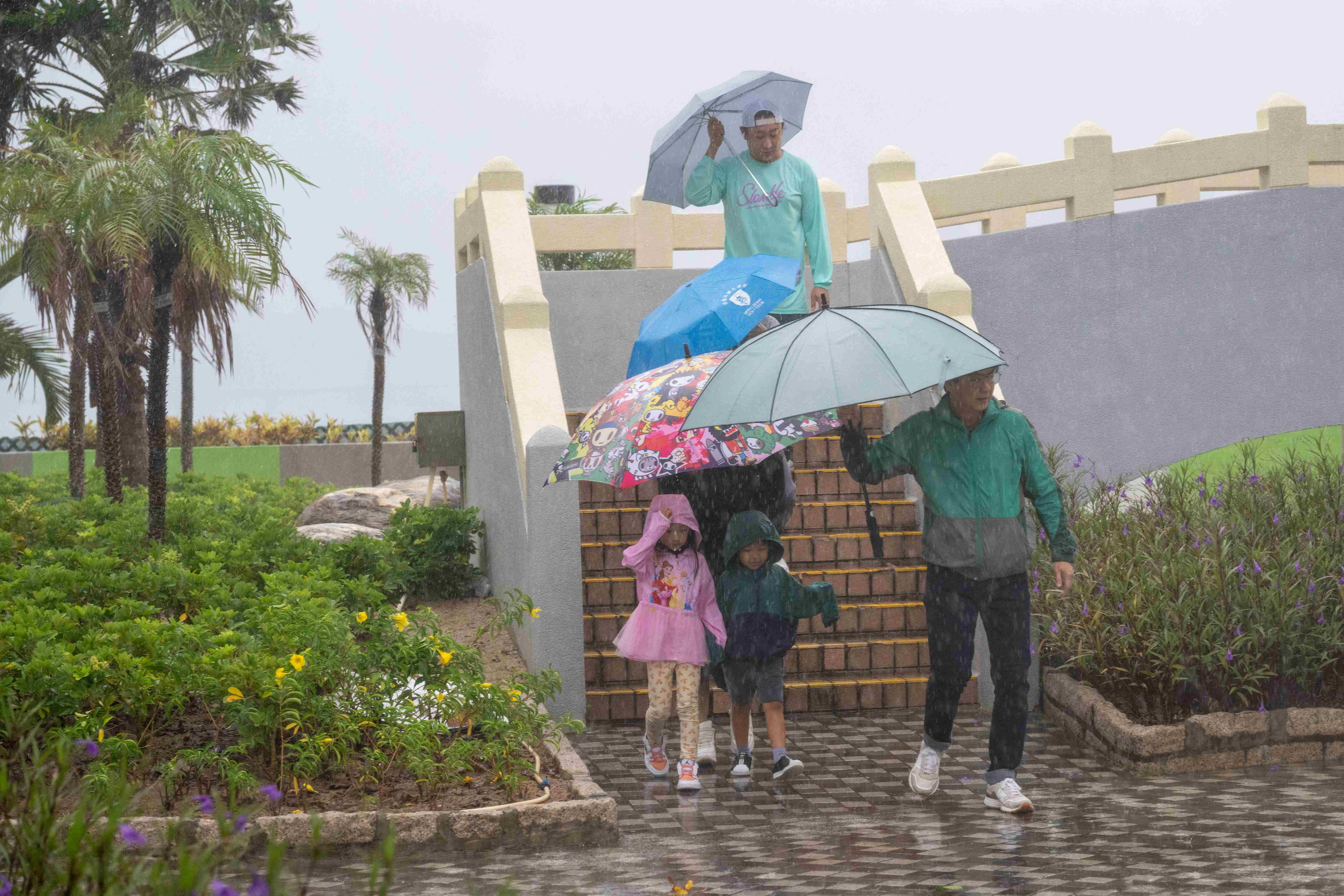 杏花邨 颱風小犬襲港八號風球杏花邨情況 颱風 小犬