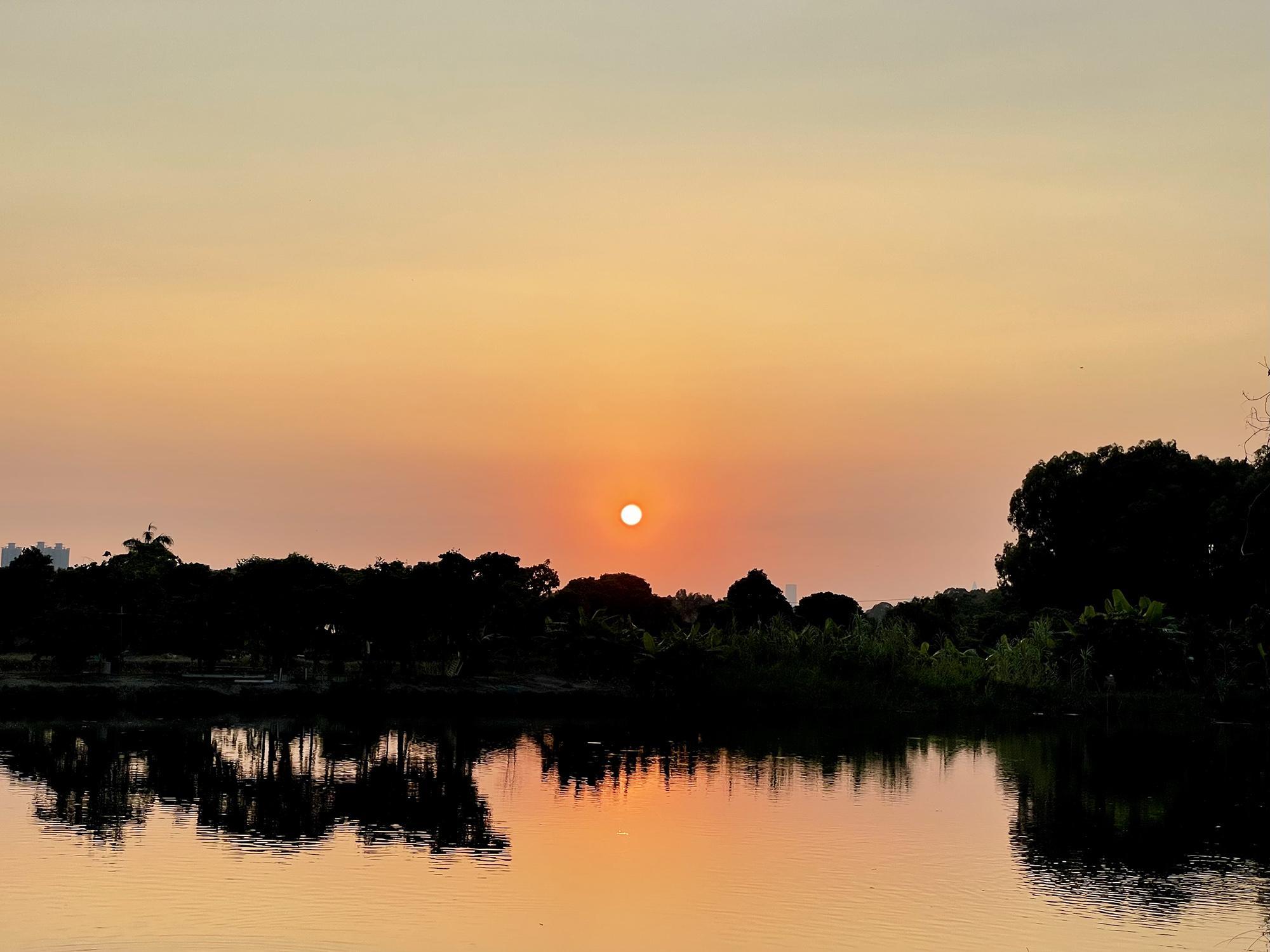 南生圍賞日落|單車跑步自駕遊皆宜