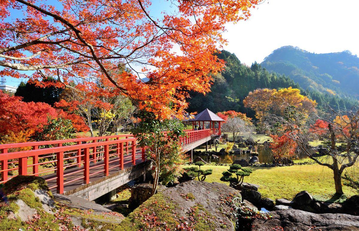 大分紅葉景點 #04. 溪石園|紅葉期:11月中 |地址:大分縣中津市耶馬溪町大字大島2286-1 (圖片來源:Tourism Oita)