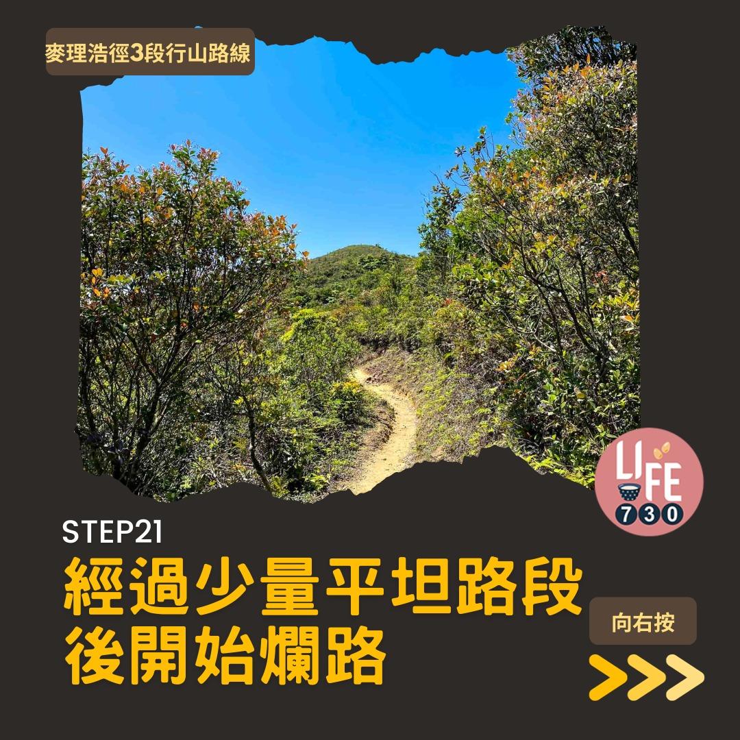 麥理浩徑3段行山路線(am730製圖)