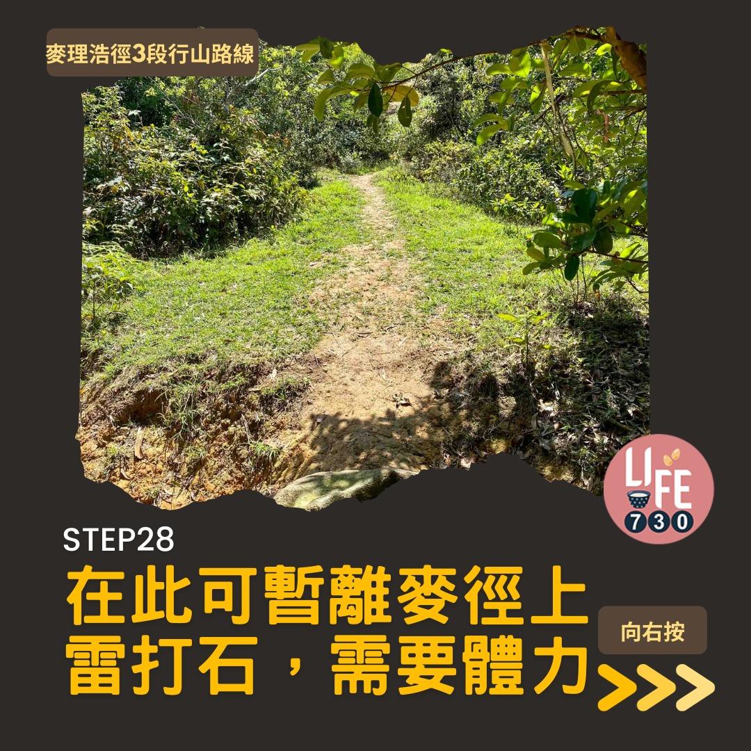 麥理浩徑3段行山路線(am730製圖)