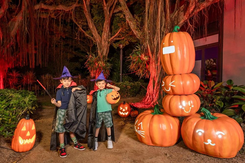 「盞鬼」南瓜森林