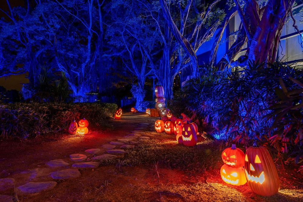 「盞鬼」南瓜森林