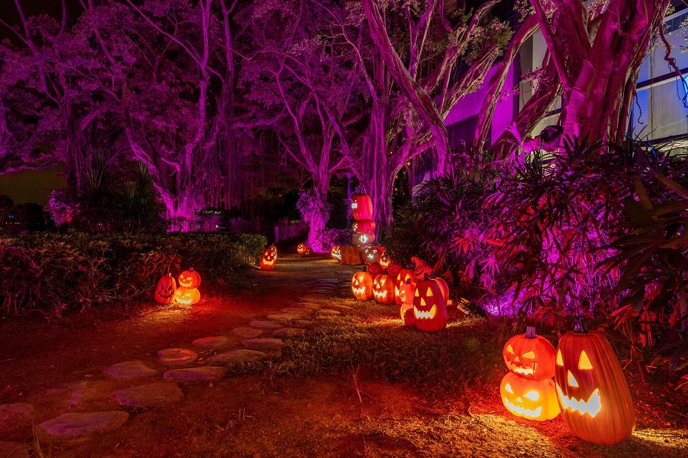 「盞鬼」南瓜森林