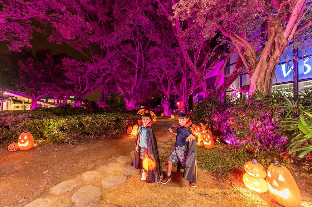 「盞鬼」南瓜森林