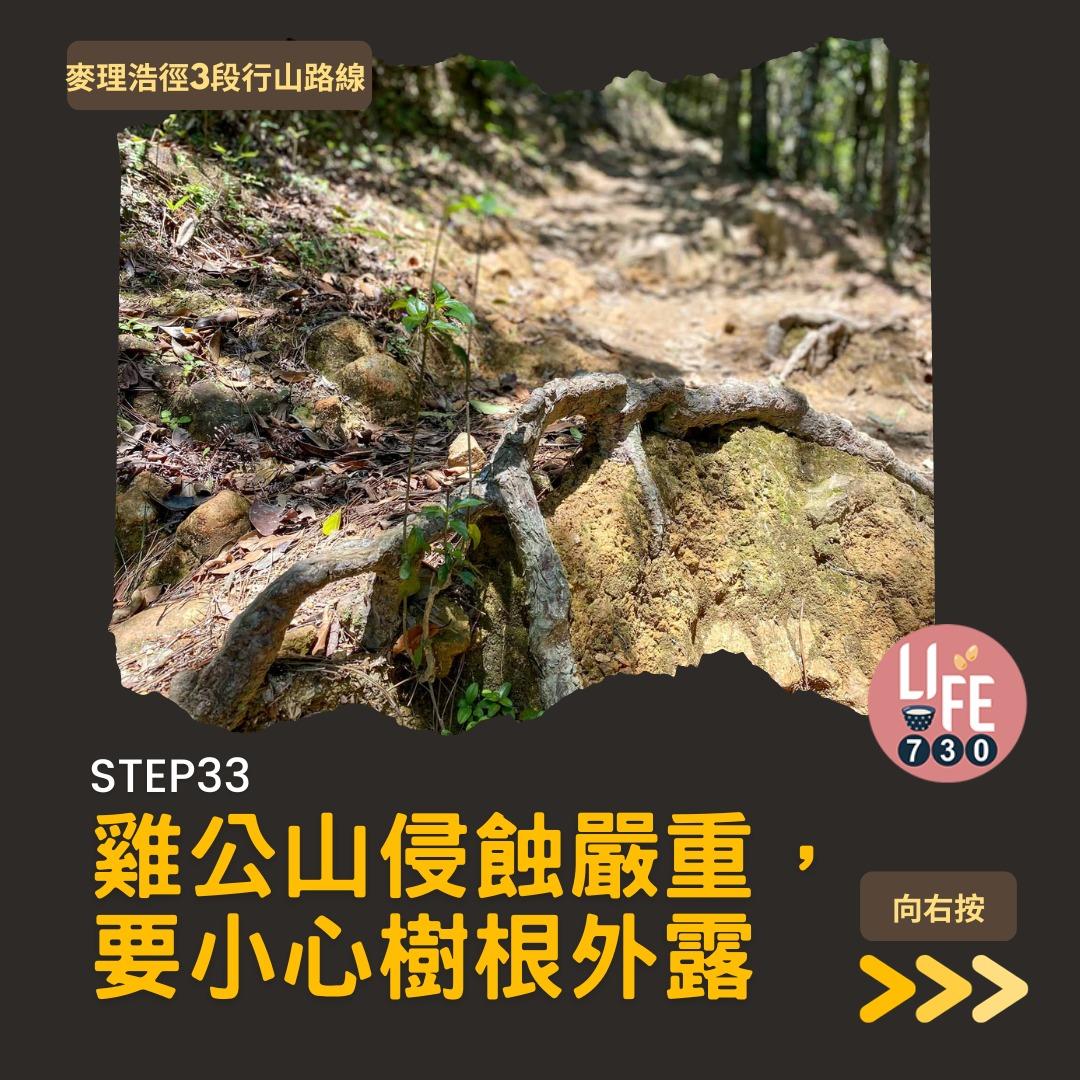 麥理浩徑3段行山路線(am730製圖)