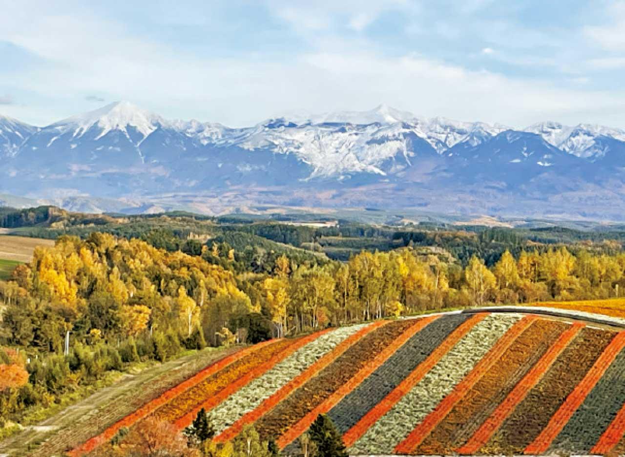 跑遊北海道紀行(一)