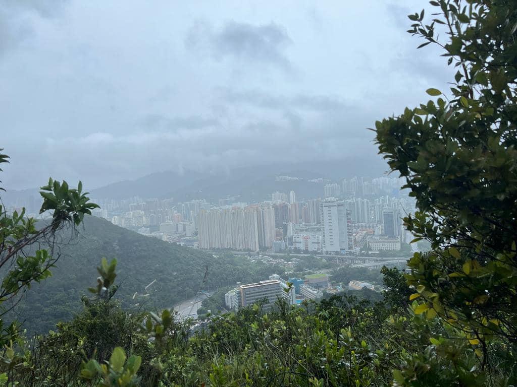 八號風球前民間搜救隊參質搜索。