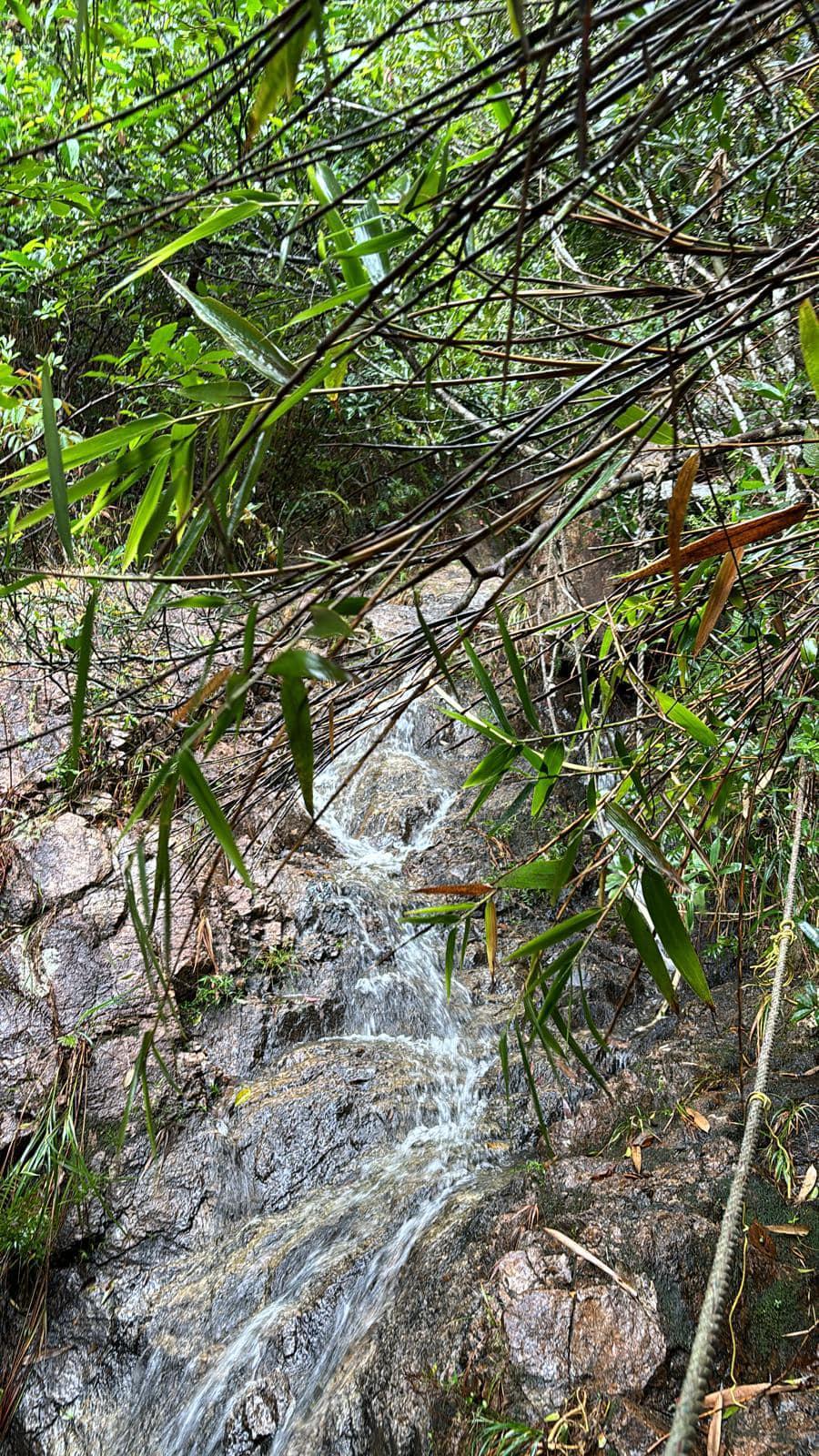 八號風球前民間搜救隊參質搜索。