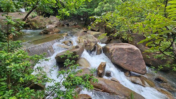 民間搜救隊昨日繼續在花心坑附近搜索。(郊野義務搜索隊CVST@fb圖)